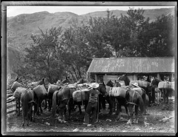 Image: Loading packhorses on the East Coast, 1933