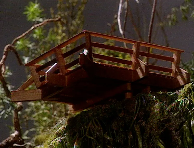 Cave Creek: The Full Story of a National Tragedy