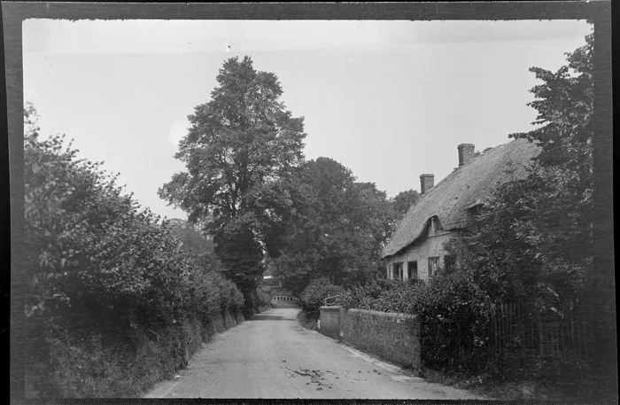 Thatched cottage at side of leafy country land, Buckinghamshire, United Kingdom