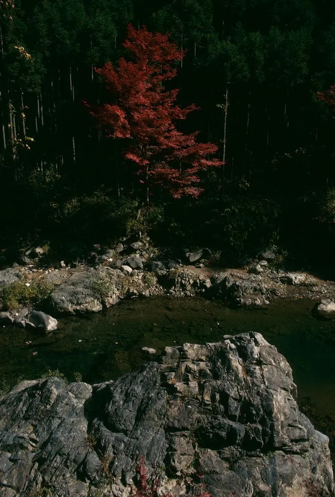 Japan series: Takao, Kyoto