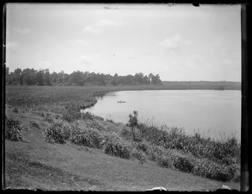 Image: The north-western end of Lake Horowhenua