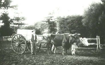 Image: Patua Co-operative Dairy Company Limited. Milk supplier, circa 1910