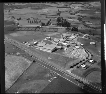 Image: Te Puke Freezing Works, (Rangiuru AFFCO)