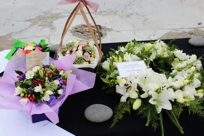 Photograph by Paul Corliss 3113