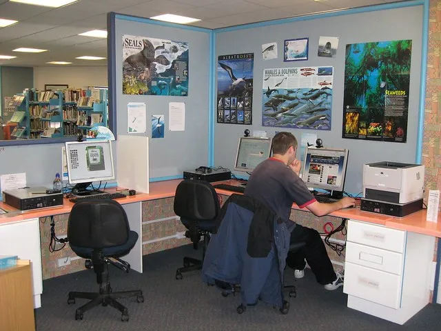 Te Anau Library computers