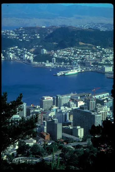 Wellington. Image: Wellington.