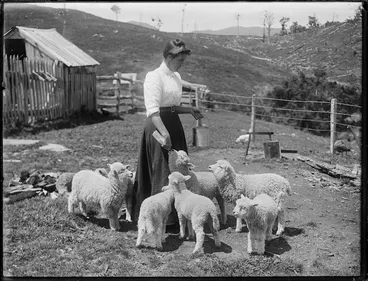 Image: Woman feeding lambs