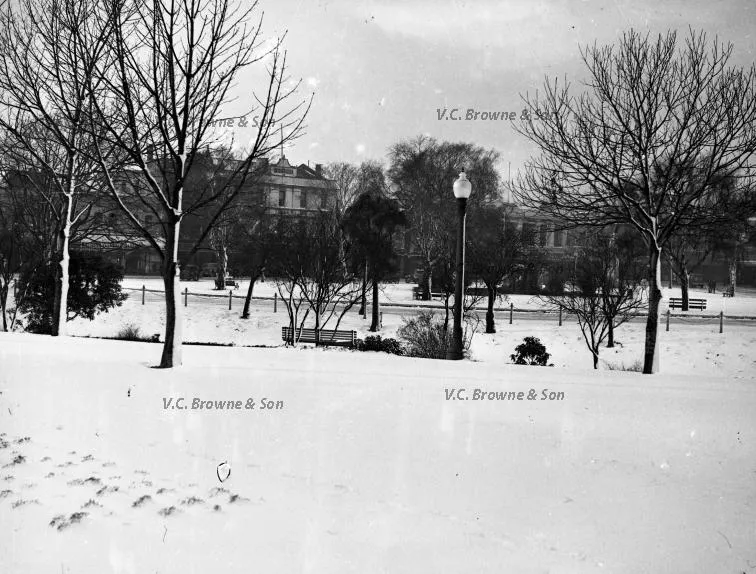 Victoria park in snow - Christchurch (PB1719/2)