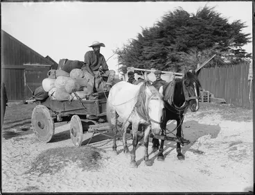 Image: Horse-drawn cart, Northland