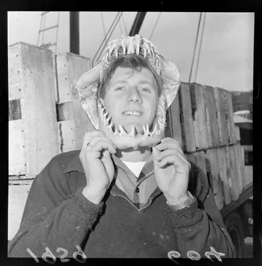 Image: Gerald [Juni?] with the jaw of a mako shark framing his face
