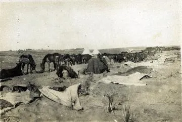 Mounted Rifles camp : photograph