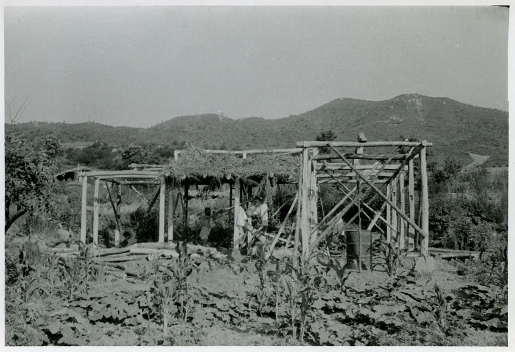 House construction, No. 2