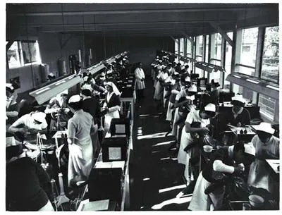 Mt Eden Dental Centre