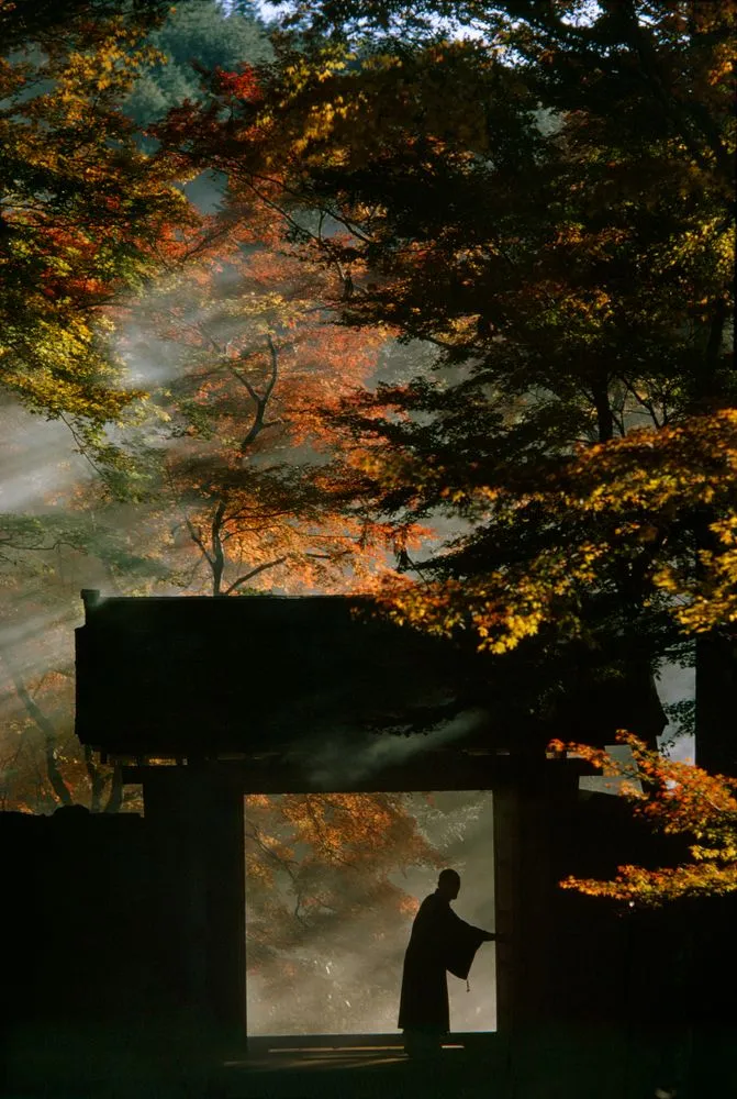 Sanzen-in Temple near Kyoto. Taken for a series on Japan for ‘Life’