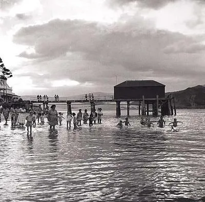 Opo: The Hokianga Dolphin (#19)