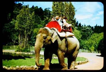 Image: Elephant ride, 1956