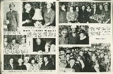 Image: Service To W.D.F.F. Recognised