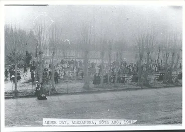Image: Arbor Day, Alexandra, 28th Aug 1903