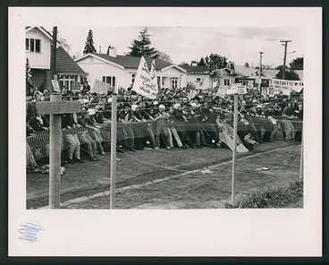 Image: Fence, Hamilton