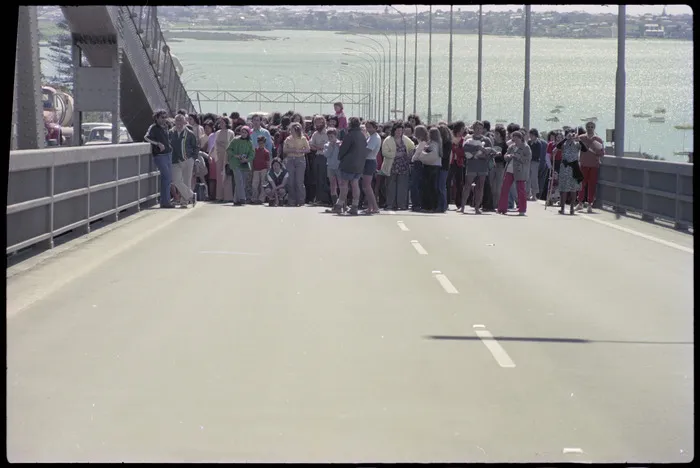 Hīkoi on the Harbour Bridge