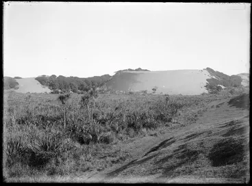 Image: Sandfalls of advancing dunes of Horowhenua dune-belt near Wirokino Bridge over the Manawatu River on Levin-Foxton highway