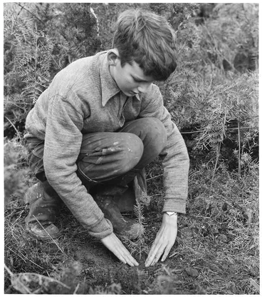 Planting in Nelson for Arbor Day, 1959 Image: Planting in Nelson for Arbor Day, 1959