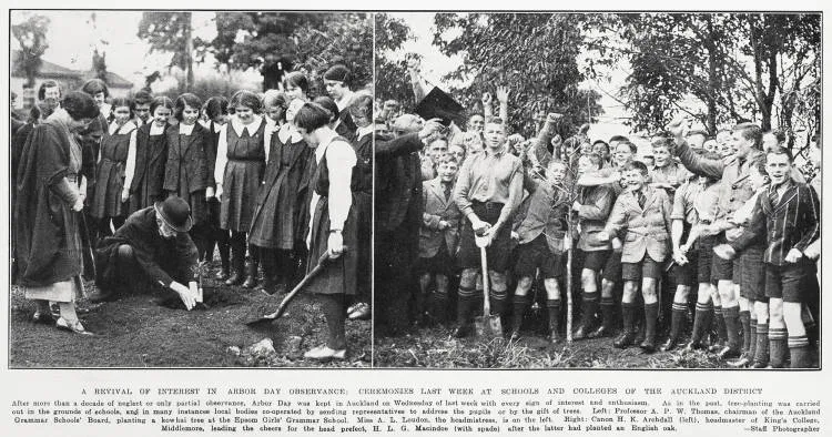 A revival of interest in Arbor day observance: ceremonies last week at schools and colleges of the Auckland district