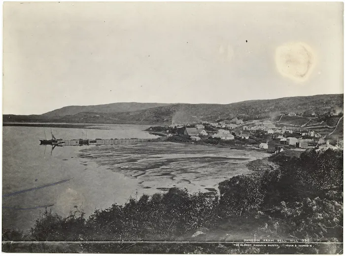Dunedin from Bell Hill