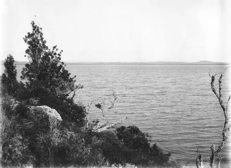 Lake Omapere, Northland