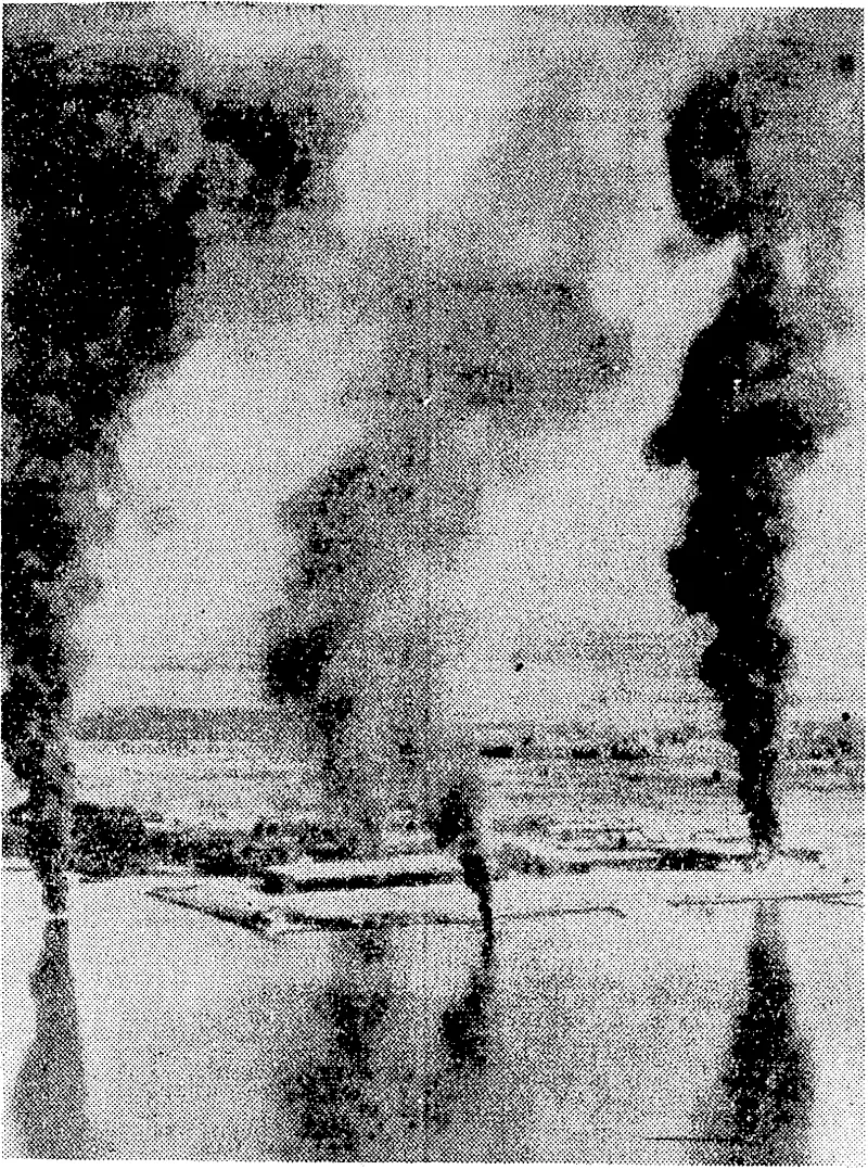 Tall columns of smoke mirrored in the calm water of a south-ivest Formosa bay, marking the end of Japanese seaplanes destroyed by Hellcats and Helldivers of the United States Pacific Fleet aircraftcarriers. This Japanese seaplane base has been swept on several occasions by ■■■ carrier-based planes, and more than 1000 Japanese planes have been destroyed. (Evening Post, 17 January 1945)