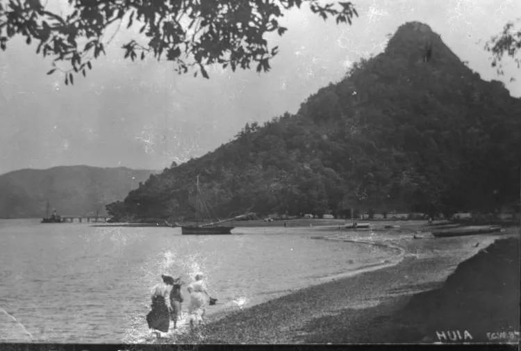 Te Komoki, Little Huia.