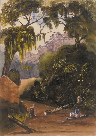 Image: On the Nghauranga Road, Wellington.