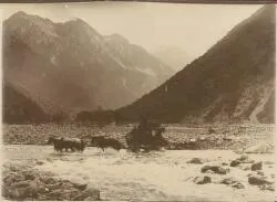 A stagecoach crossing the Otira River in New Zealand, February 9th / Ring Photo