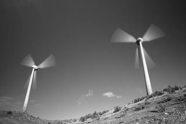 Turbines, Hau Nui Windfarm