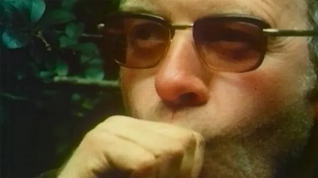 Catching a Chatham Island black robin