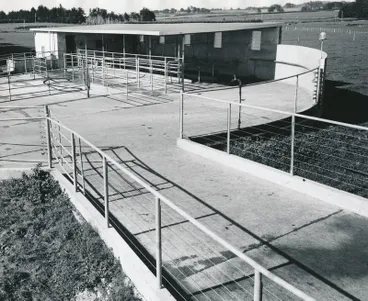 Image: Vibrapac Blocks Ltd: 1966 Waikato - typical small herringbone milking shed