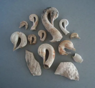 Image: Shards - swans