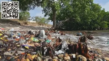 Image: Why is plastic so bad for sea creatures?