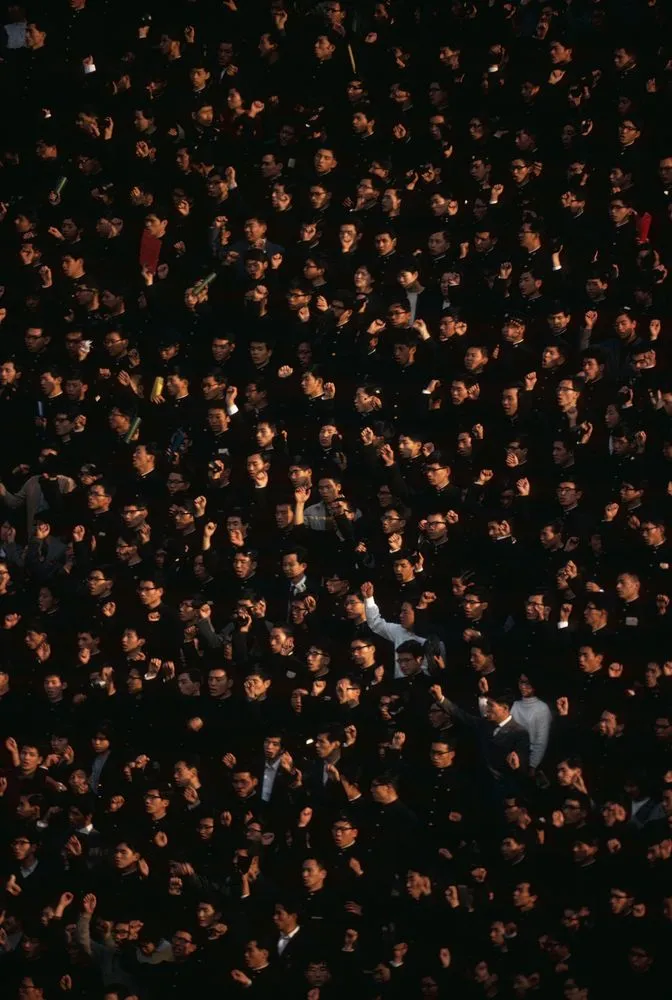 Japan Series: Baseball Crowd