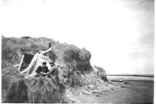 Hokio Beach and Stream