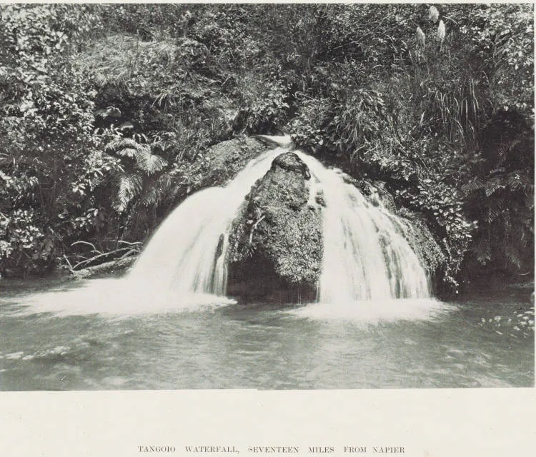 Tangoio waterfall, seventeen miles from Napier