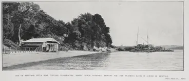 Image: One of Auckland city's most popular playgrounds