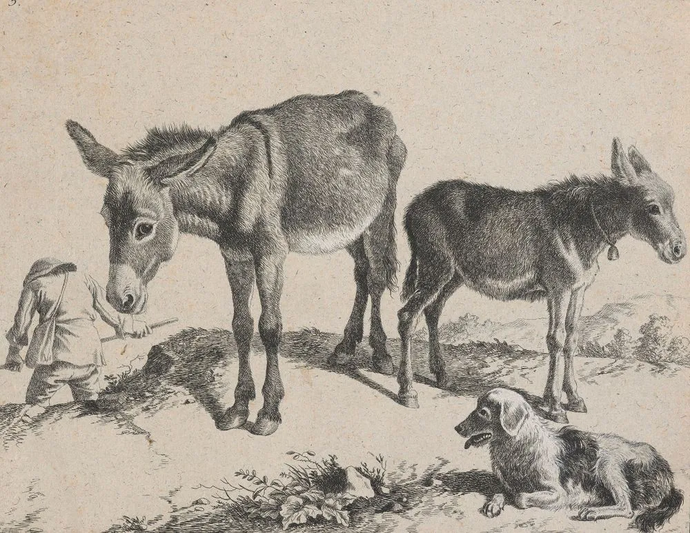 No title. (Donkeys, dog and man.)