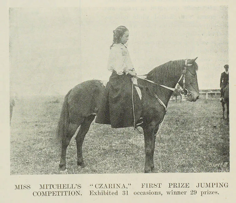 Miss Mitchell's 'Czarina,' first prize jumping competition