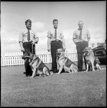 Image: "Police Dogs Prove Entertaining"
