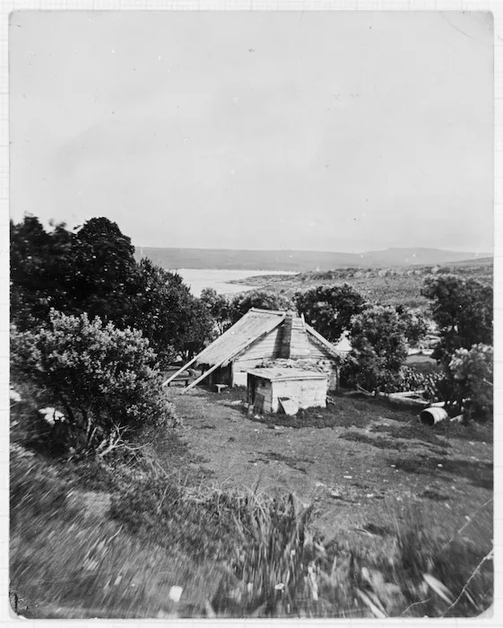 Hut built by crew from the wreck of the ship Alabama, Chatham Islands