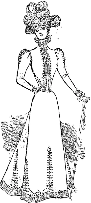 Image: Stylish Braided Costume (Auckland Star, 28 August 1897)