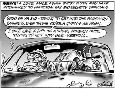 Image: Asian gypsy moth cartoon