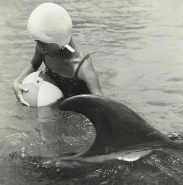 Image: Opo the dolphin, Opononi