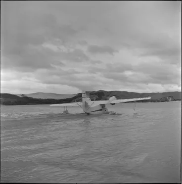 Image: Amphibian plane, Opononi beach